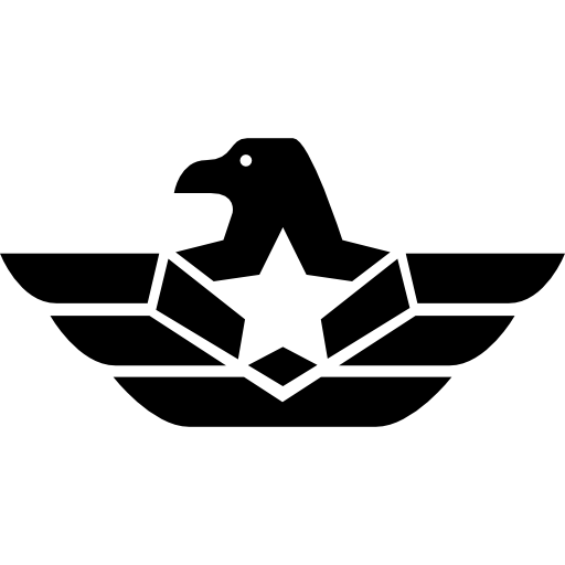 Eagle symbol with a star  icon