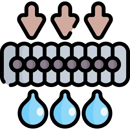 Membrane Special Lineal color icon