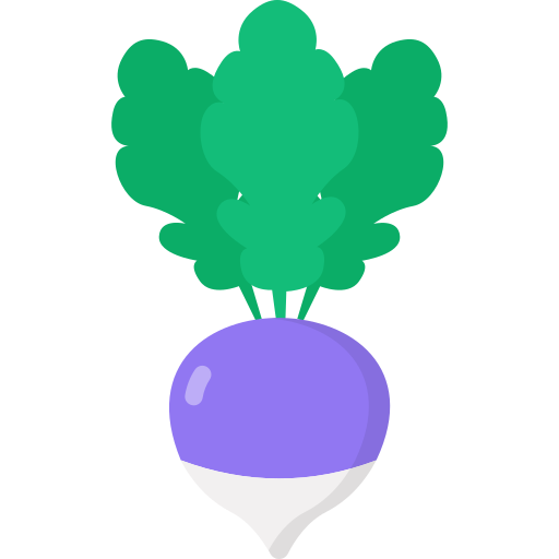 Turnip Generic Flat icon