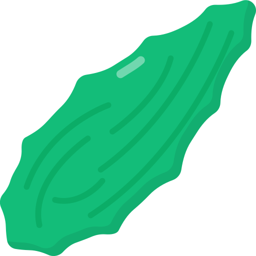 Bitter gourd Generic Flat icon