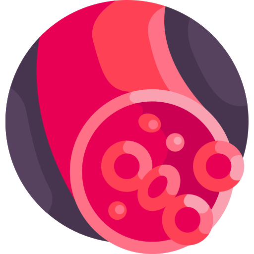 血管 Detailed Flat Circular Flat icon