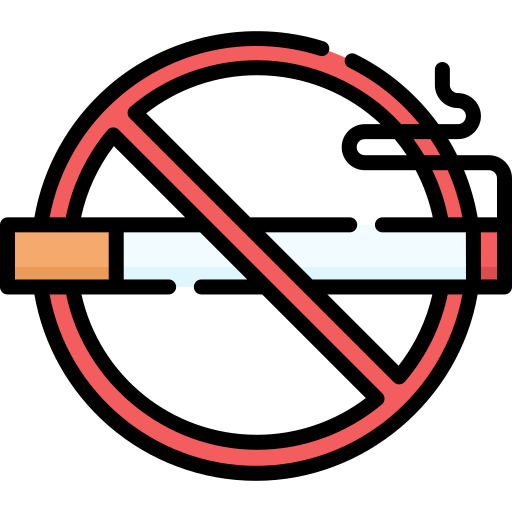 喫煙禁止 Special Lineal color icon