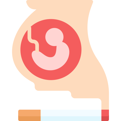 zwanger Special Flat icoon