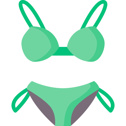 Swimsuit Special Flat icon