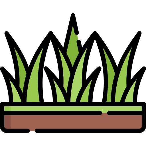 Grass Special Lineal color icon