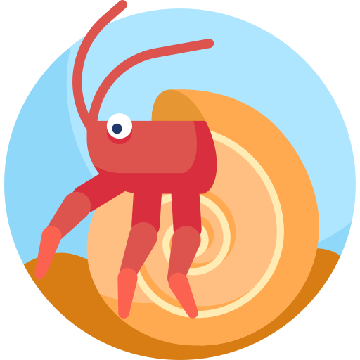 Shrimp Detailed Flat Circular Flat icon