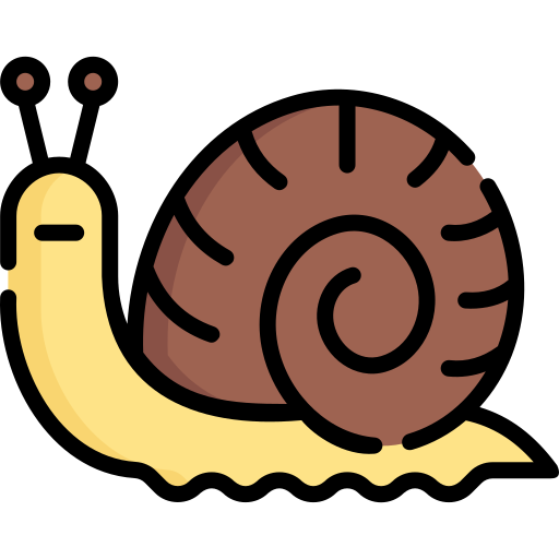Snail Special Lineal color icon