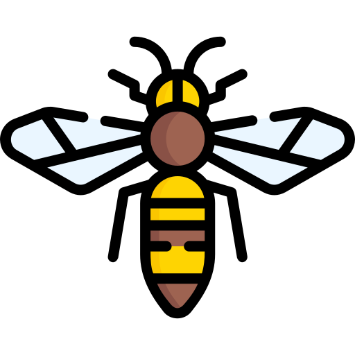 Bee Special Lineal color icon