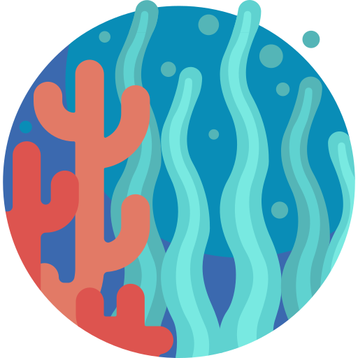 koral Detailed Flat Circular Flat ikona