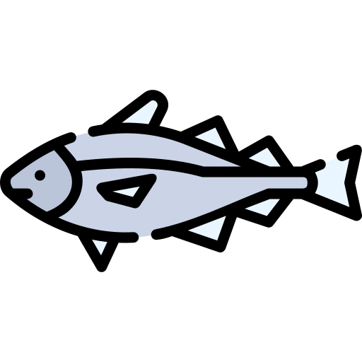 fisch Special Lineal color icon