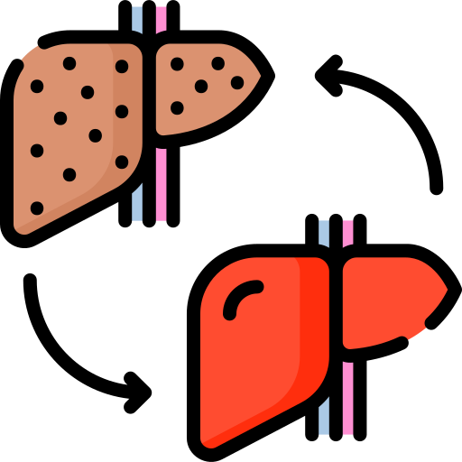 이식 Special Lineal color icon