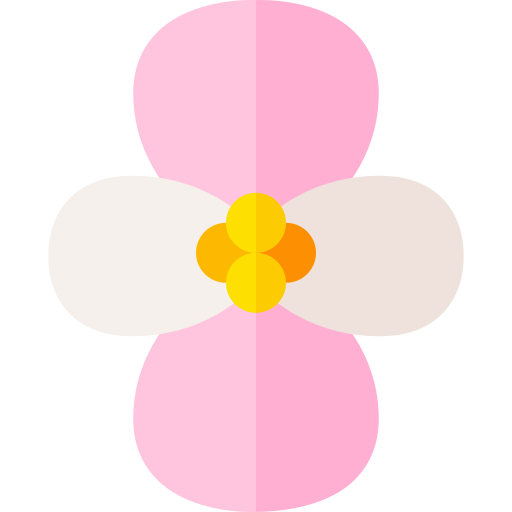 begonia Basic Straight Flat icono