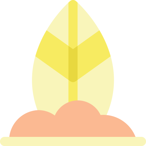 surfplank Generic Flat icoon