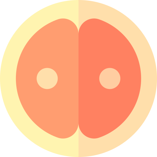 reproduktion Basic Straight Flat icon