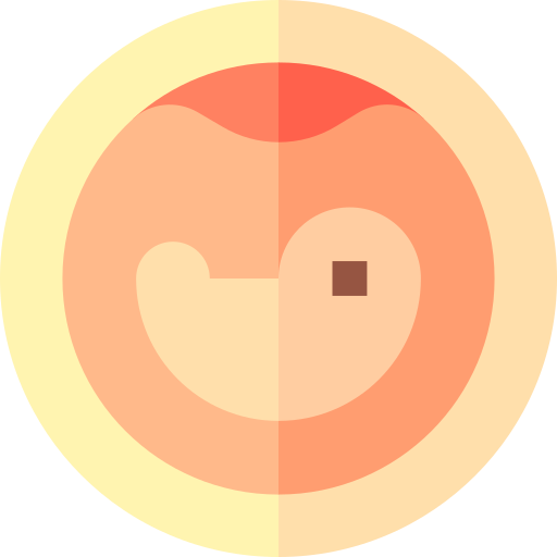 embrione Basic Straight Flat icona