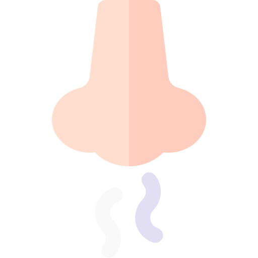 鼻 Basic Rounded Flat icon