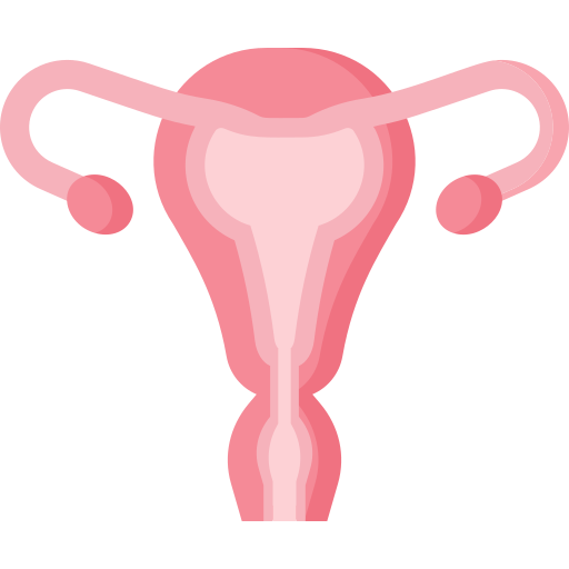 uterus Special Flat icon
