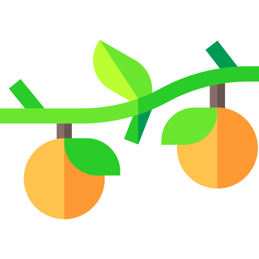 frutta Basic Straight Flat icona