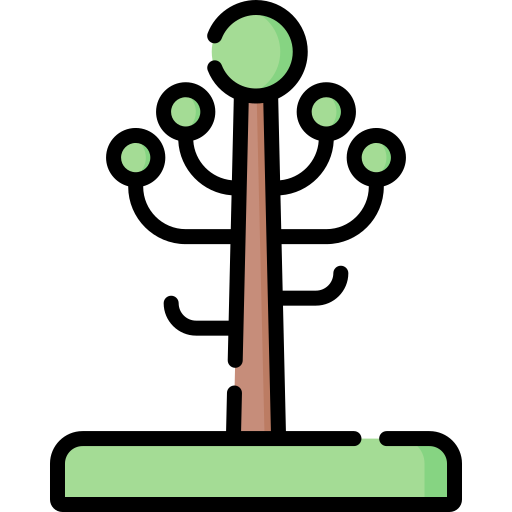 albero dell'araucaria Special Lineal color icona