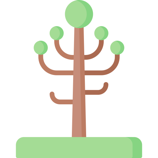 Árbol de araucaria Special Flat icono