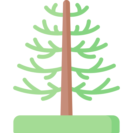 arbre araucaria Special Flat Icône