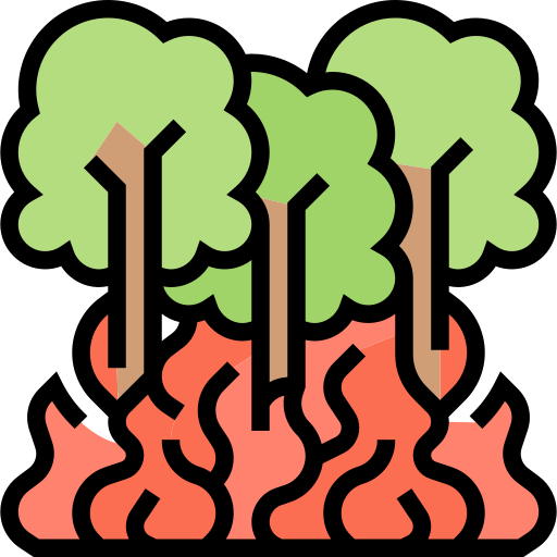 incendio forestal Meticulous Lineal Color icono