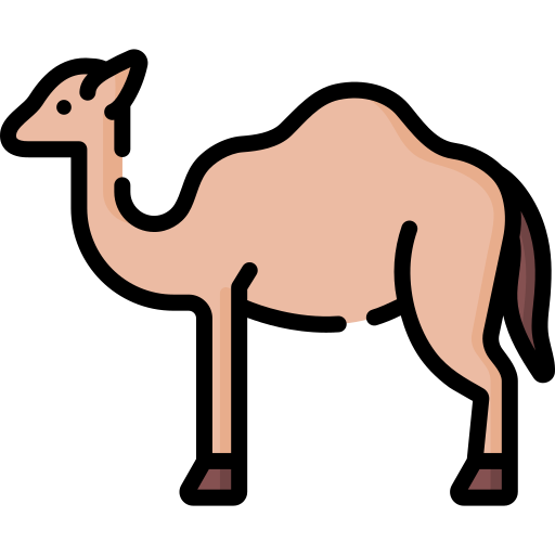 kameel Special Lineal color icoon