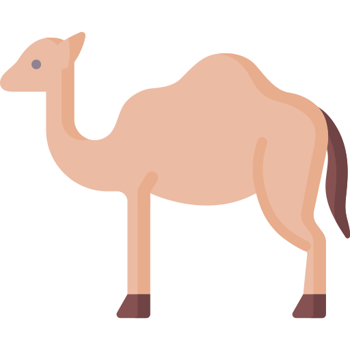 camelo Special Flat Ícone