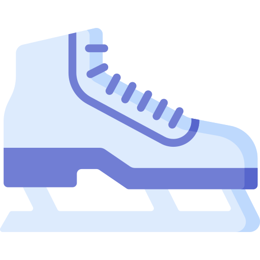 Ice skating shoes Special Flat icon