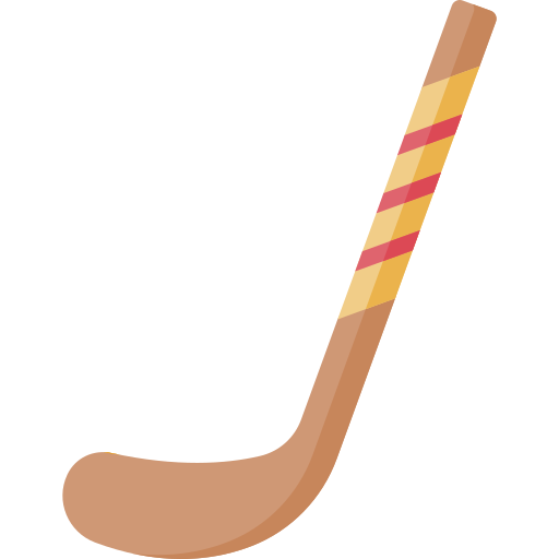 Hockey stick Special Flat icon