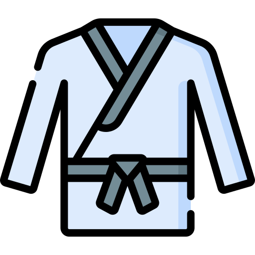Karate Special Lineal color icon