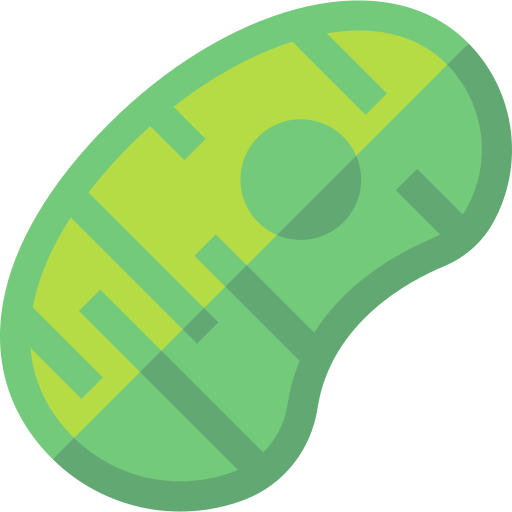 mitochondrien Basic Straight Flat icon