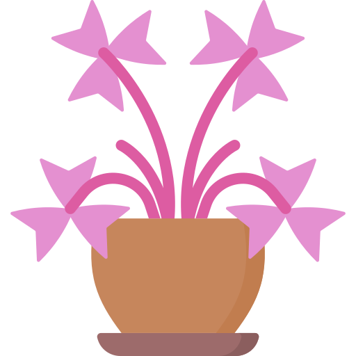 Oxalis triangularis Special Flat icon