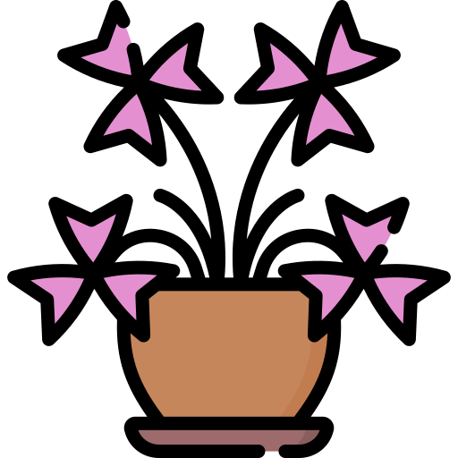 カタバミ Special Lineal color icon
