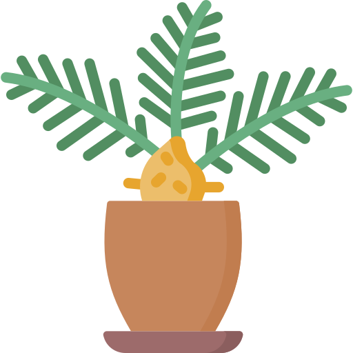 Lady palm Special Flat icon