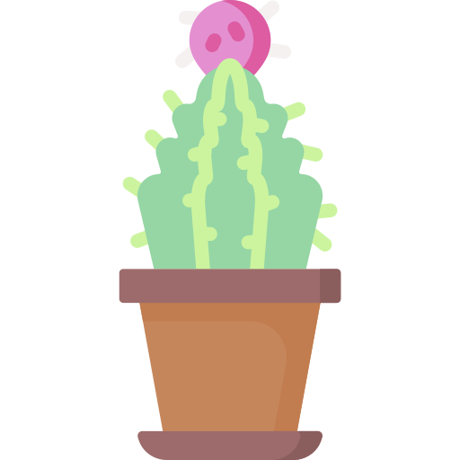 cactus Special Flat icoon