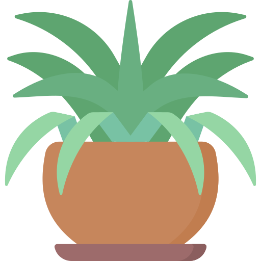 거미 식물 Special Flat icon
