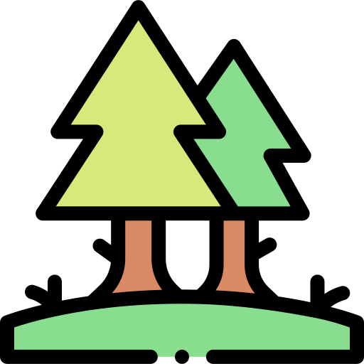 松の木 Detailed Rounded Lineal color icon