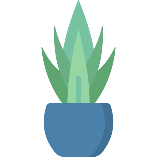 Snake plant Special Flat icon