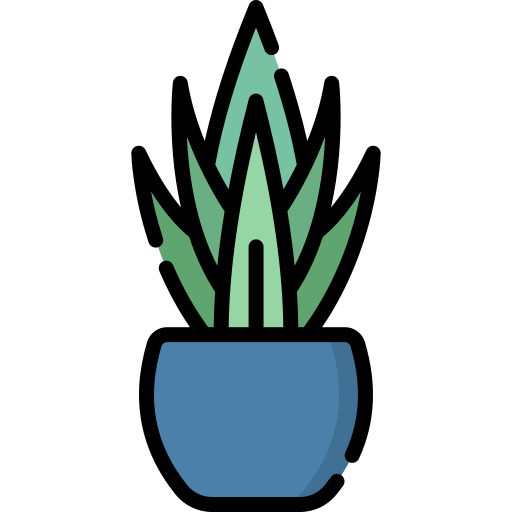 Змеиное растение Special Lineal color иконка