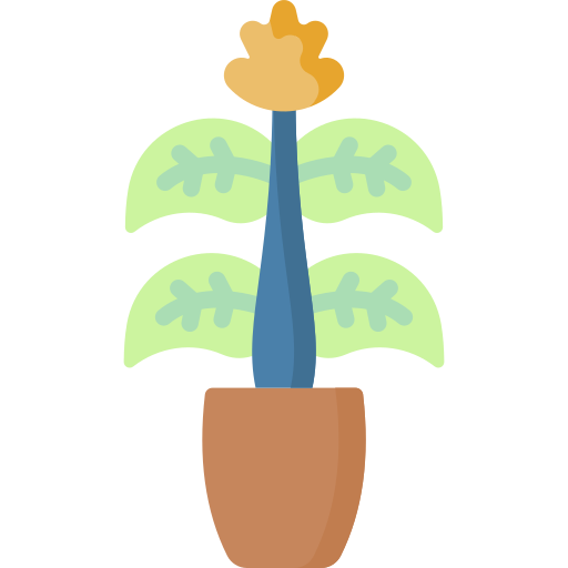 Zebra plant Special Flat icon