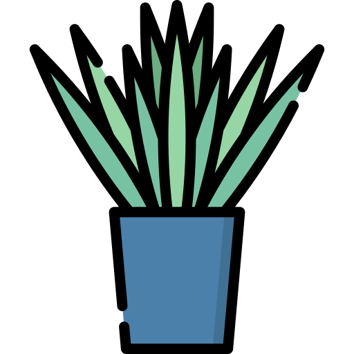 drachenbaum Special Lineal color icon