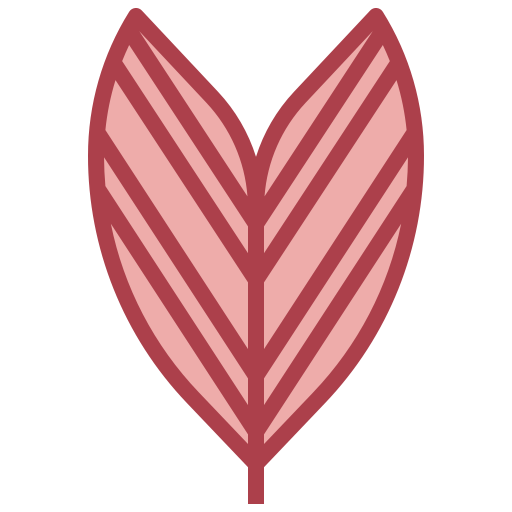 palmera Surang Red icono