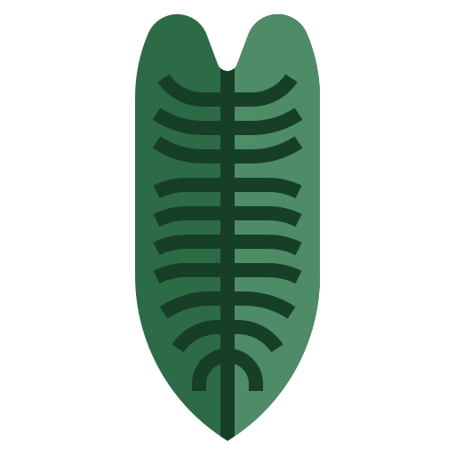 Philodendron xanadu Surang Flat icon