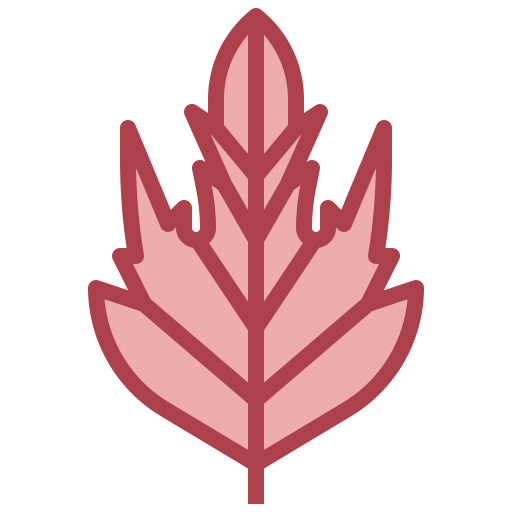 whitethorn Surang Red icono