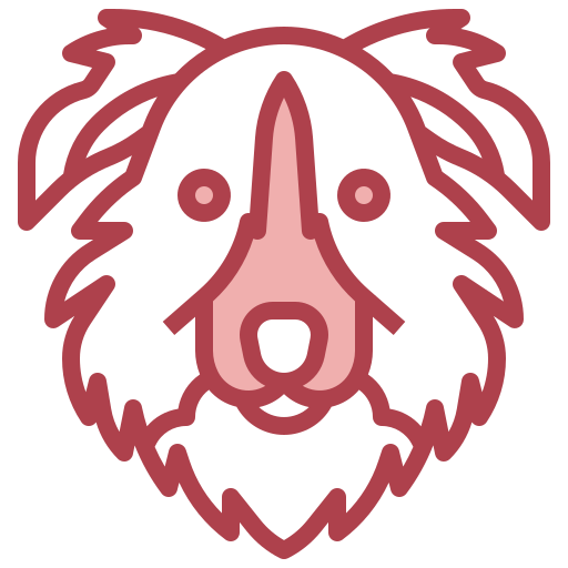 Border collie Surang Red icon