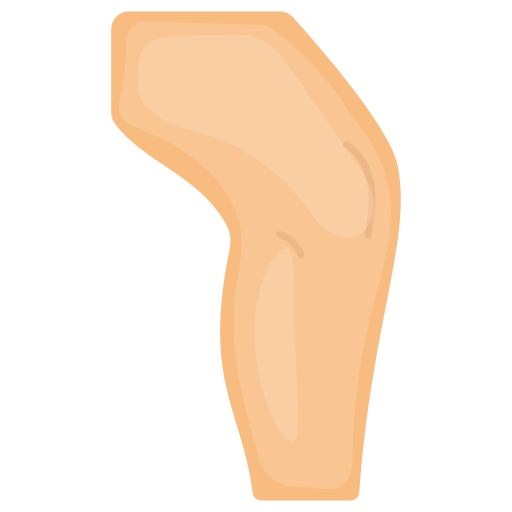 Thigh Generic Flat icon