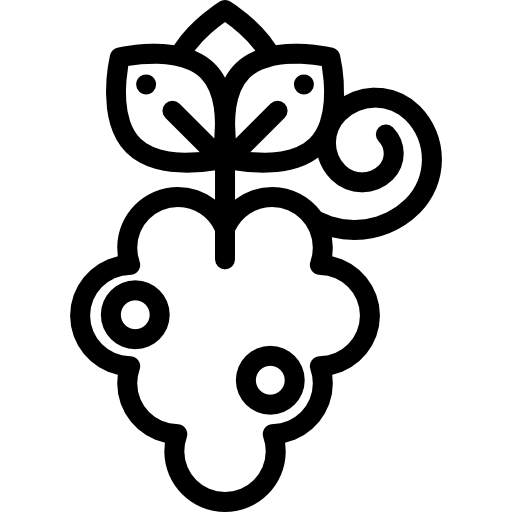 포도 Detailed Rounded Lineal icon