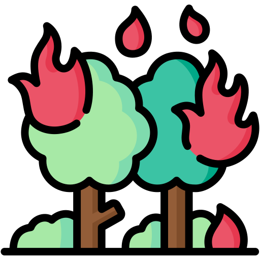 fuego fatuo Special Lineal color icono