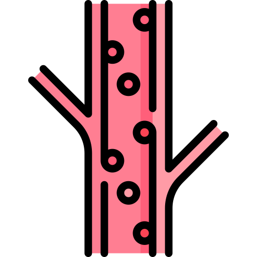 vaso sanguíneo Special Lineal color icono